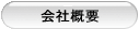ЊTv