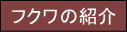 �t�N���̏Љ�