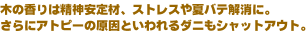 text1