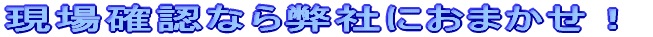 mFȂ畾Ђɂ܂I